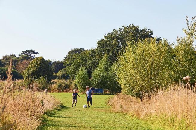Country Park 