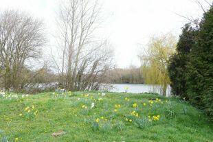 VIEW FROM GARDEN