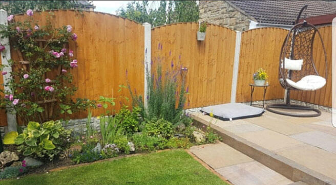 Garden in Summer 3