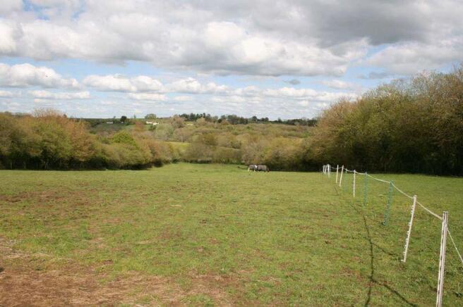 Paddock