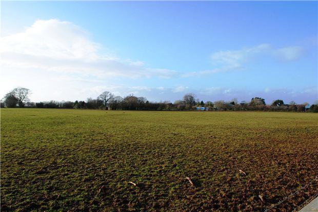 Field behind / view