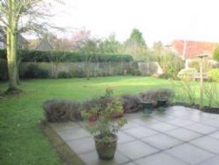 Picture 2