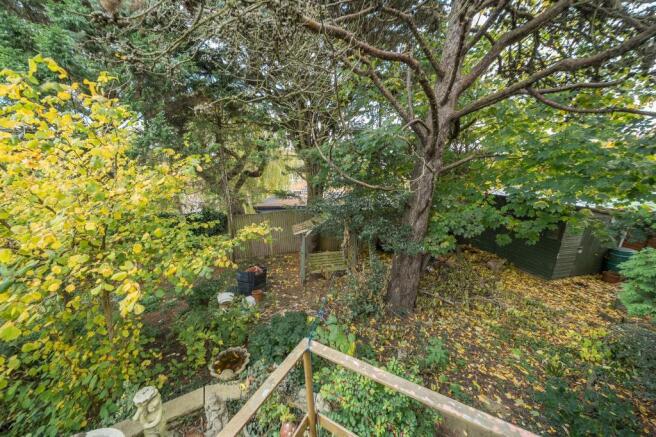 Garden 4