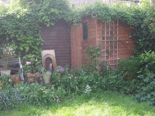 Photo 14