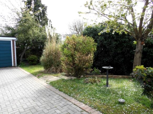 Garden Area
