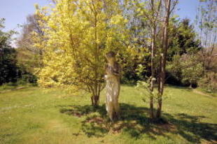 Photo 29