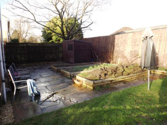 Garden Pic