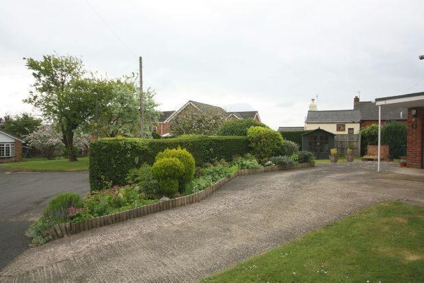 Garden and Driveway