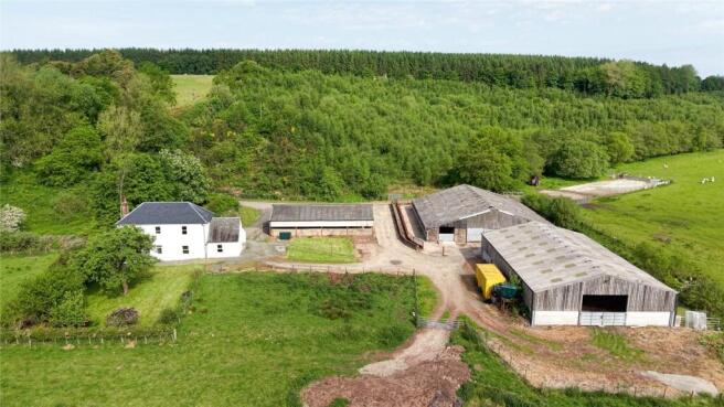 Rowanburnfoot Farm