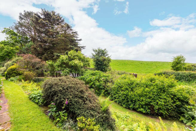 Garden and view