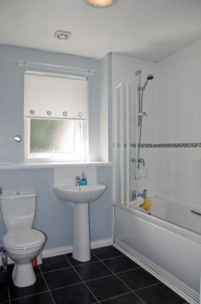 Picture 11