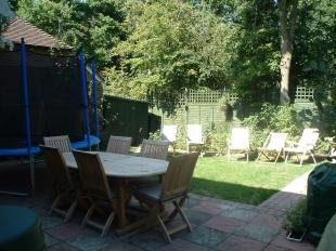 Garden Shot 2