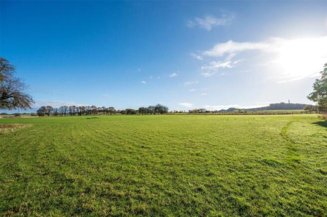 Grass Paddocks