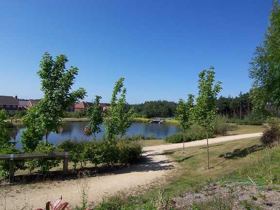View of Elvetham Pond