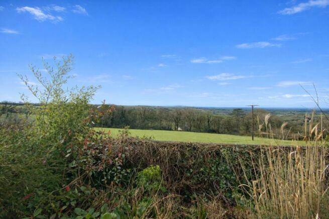 6 Treefield