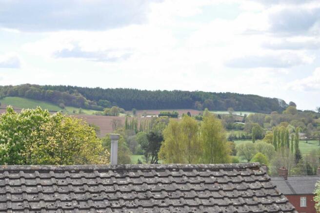 Views from the garden