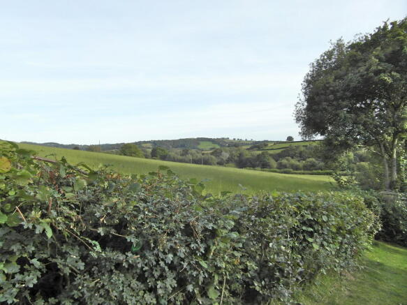 View from Garden
