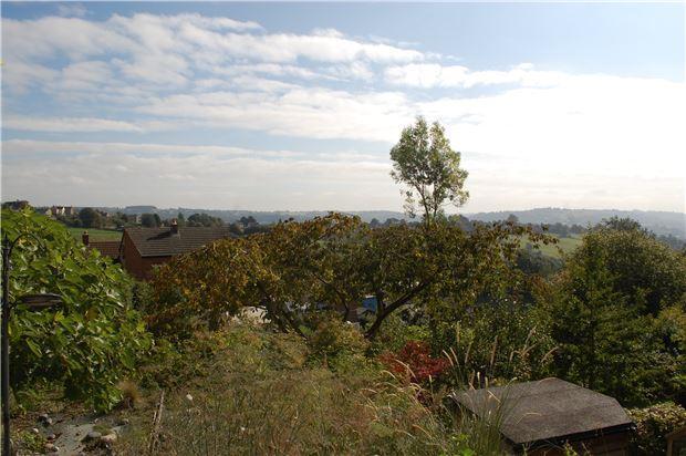 Views From Garden