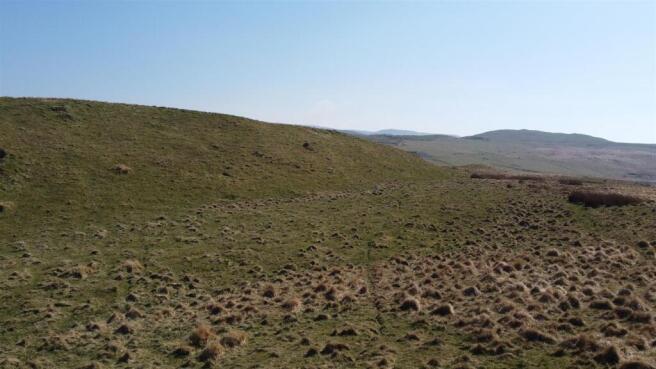 dji_fly_20250410_12026 pm_332_1744287691240_photo_