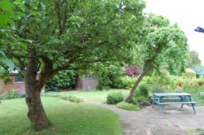 Photo 7