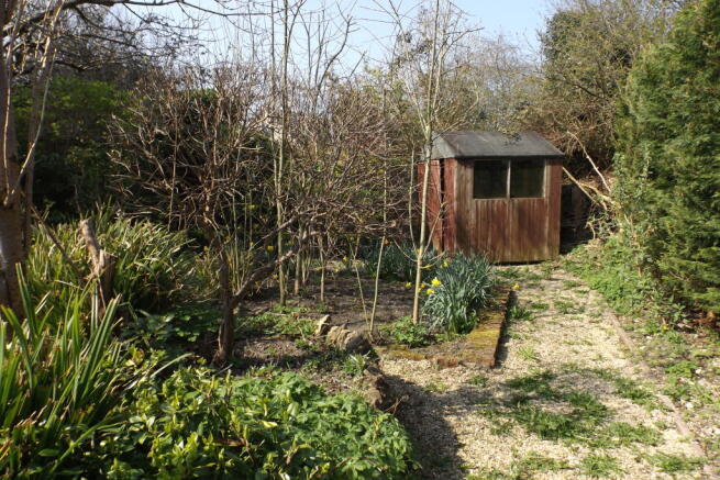 Photo 13
