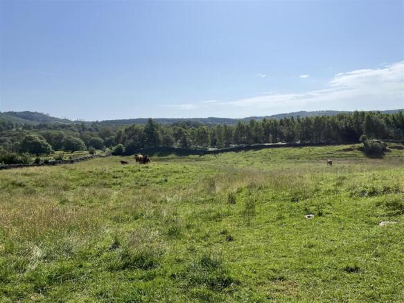 Land