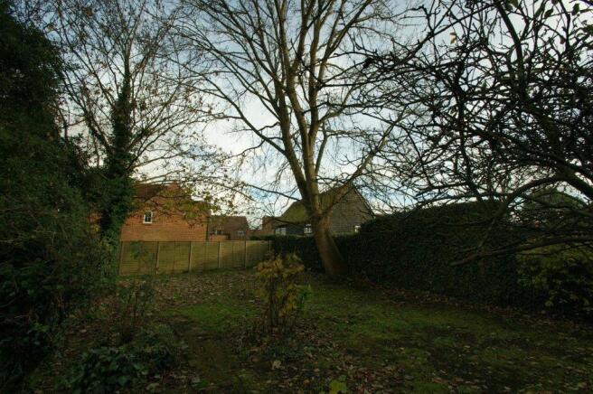 back garden