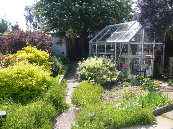 Photo 4