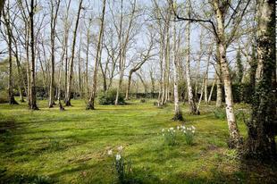 Wooded Front Grounds