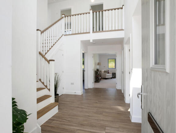 Kitiwake2025Wakeham Farm (119)121 - Copy