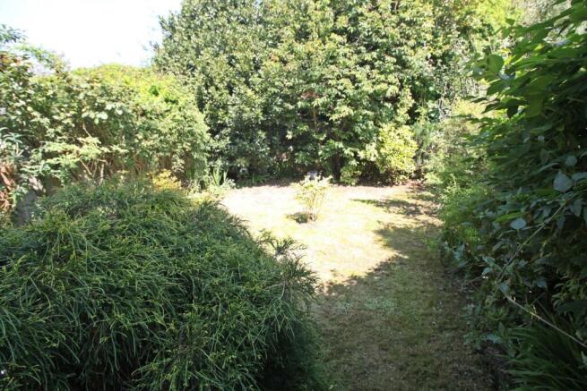 Garden 2.JPG