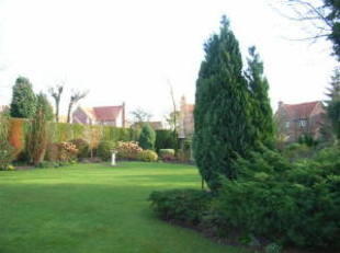 Photo 24