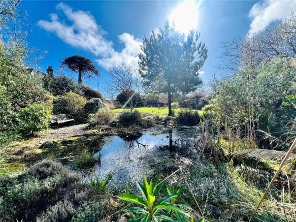 Wildlife Pond