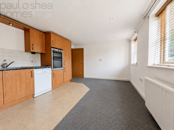 Kitchen/Living/Dining