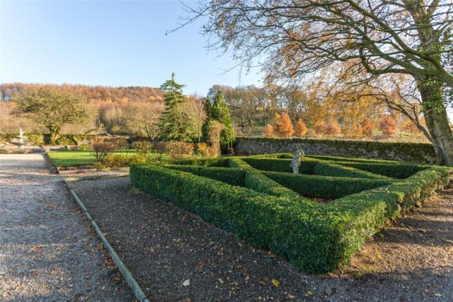 Box Hedge