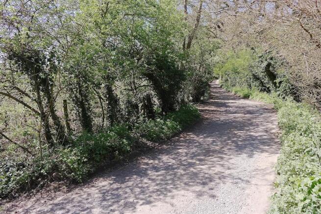Nearby country lane