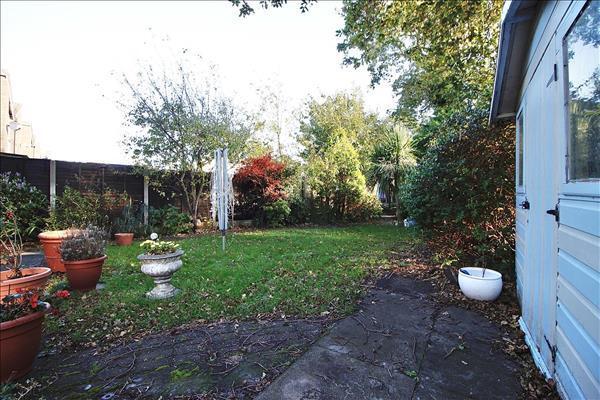 Outside - Rear
