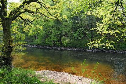 1/2 Mile of Fishing Rights - Ideal Game Fishing