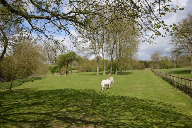 Paddocks