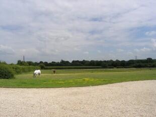 Paddock