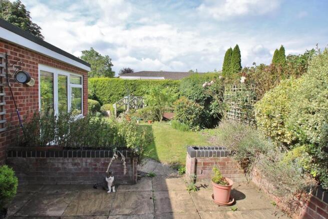 Garden 4.JPG