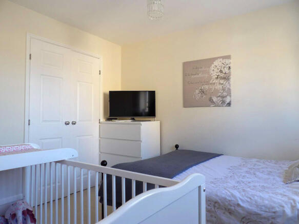 Picture 8