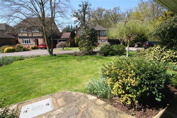 Front Garden &