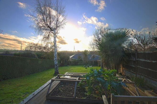 Garden at Back