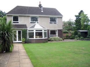 Rear Elevation