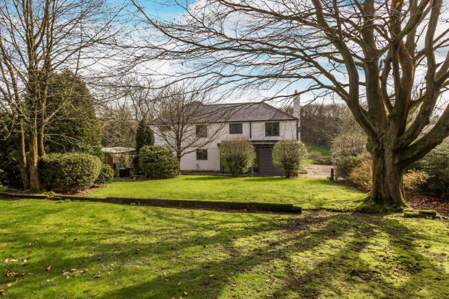 Rear of Property