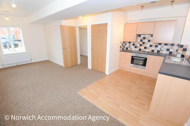 Kitchen/Living Room