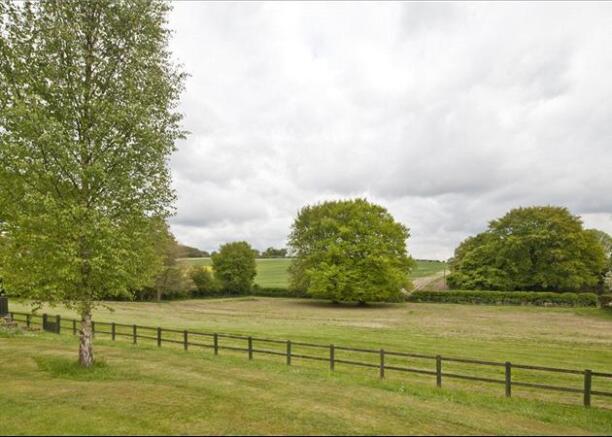 Paddock & View