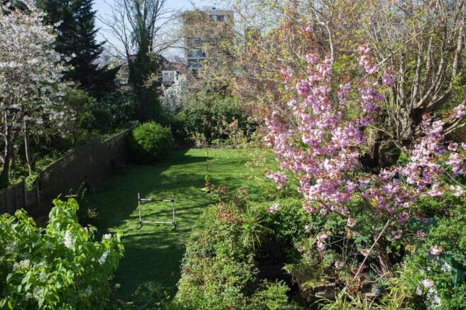 garden shot 2 .jpeg