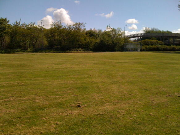 Scenic Views
